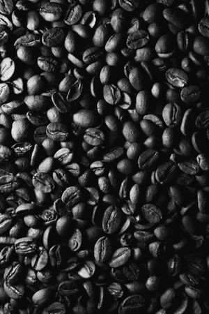 Miscela 100% Arabica in Grani 1kg — 3