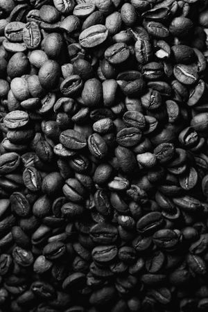 Miscela Biologica Fairtrade in Grani 500g — 4