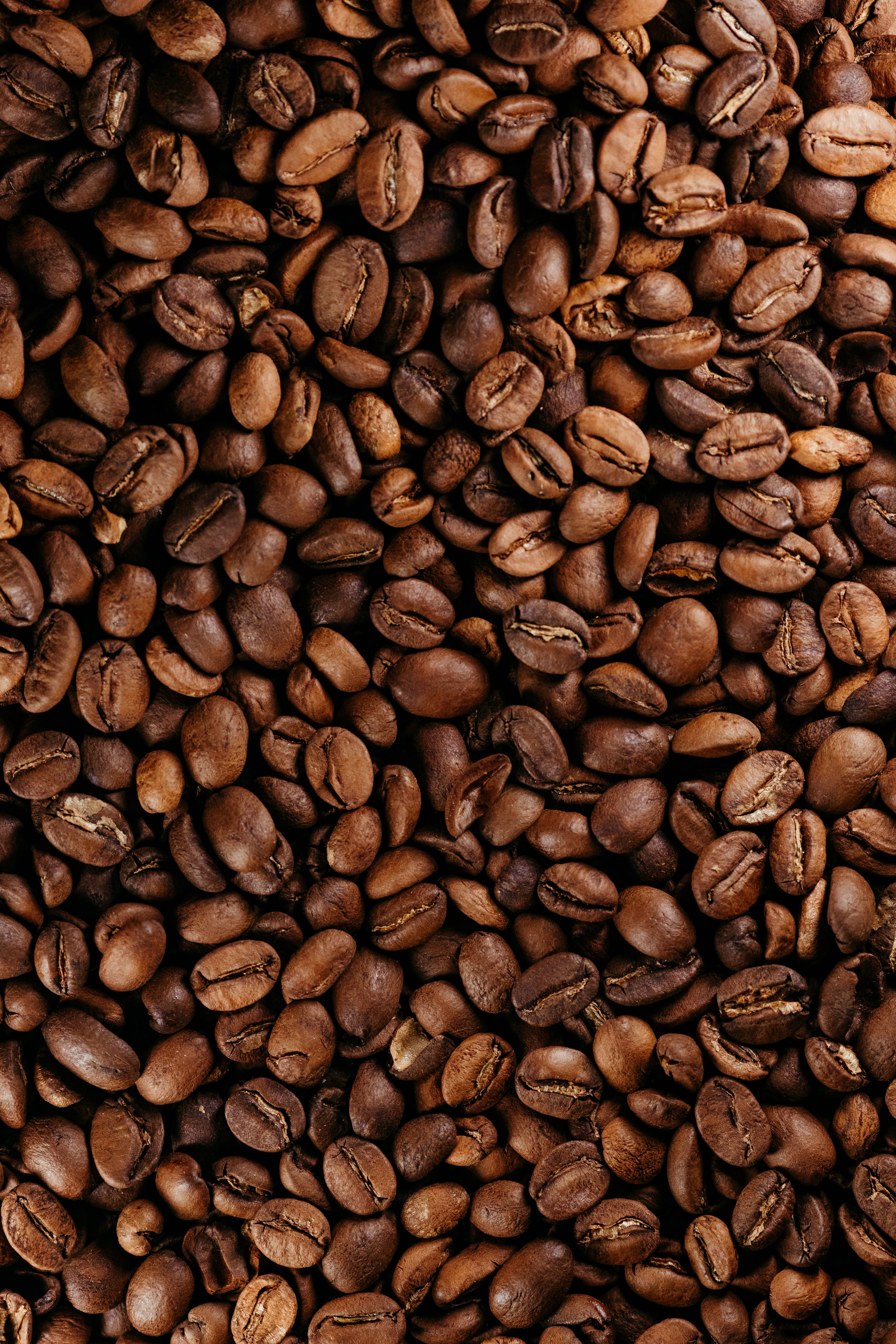 Macinato per Macchina Espresso 1kg — 3