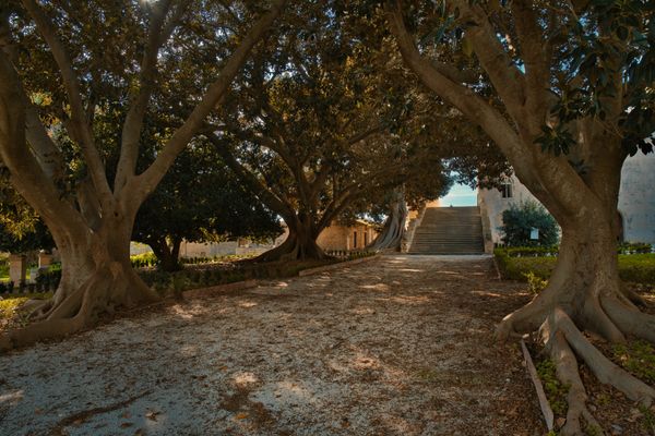 Tuscia Nascosta — 4