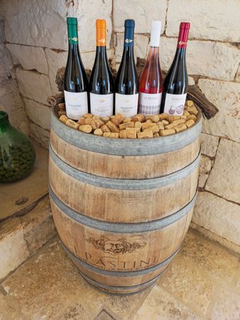 Amarone della Valpolicella Classico DOCG 2017 — 2