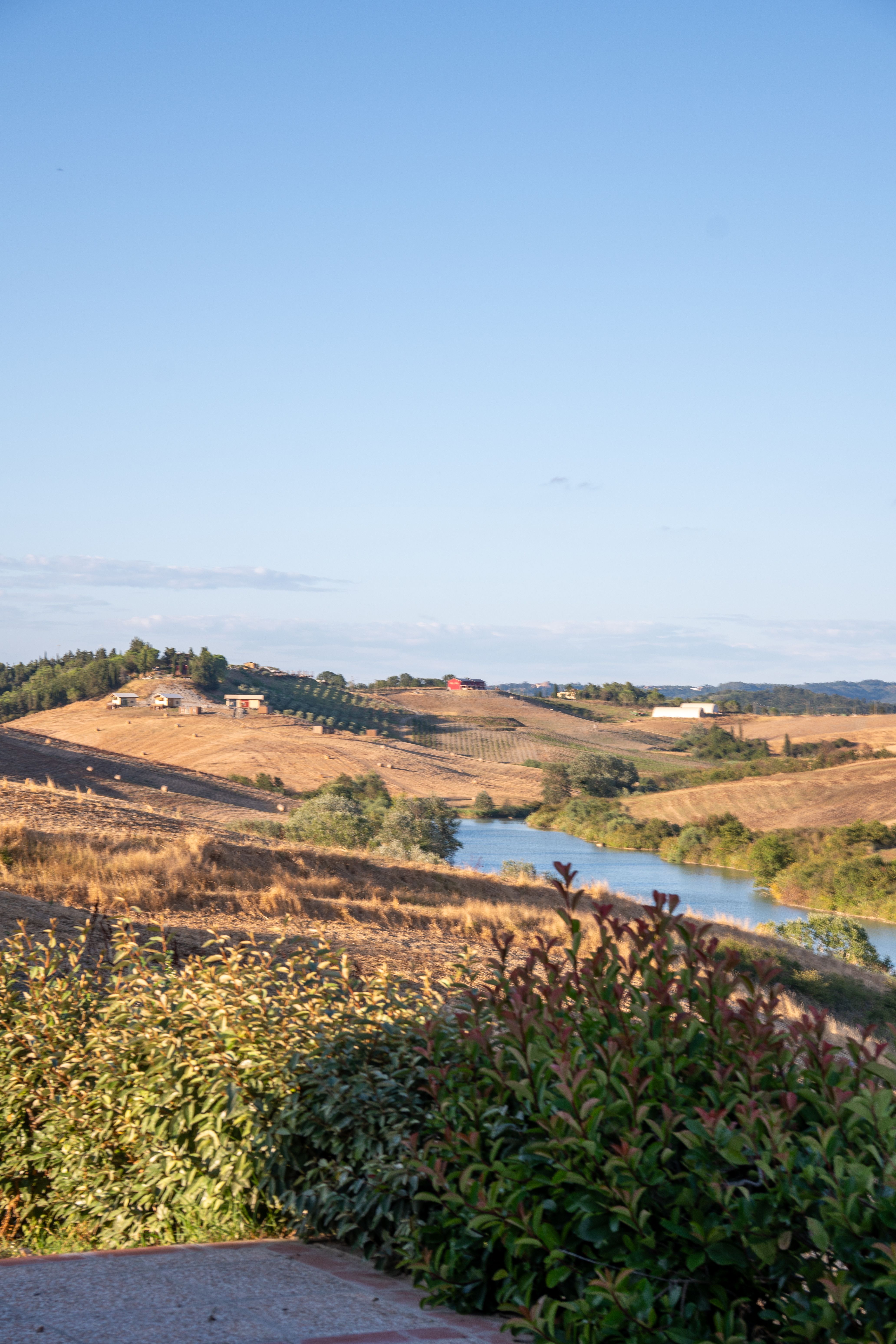 Nocciole Piemonte IGP Tostate — 2
