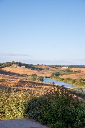 Nocciole Piemonte IGP Tostate — 2