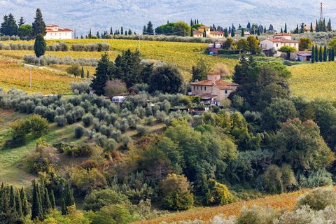 Olio EVO Umbria DOP Colli Assisi Spoleto 500ml
