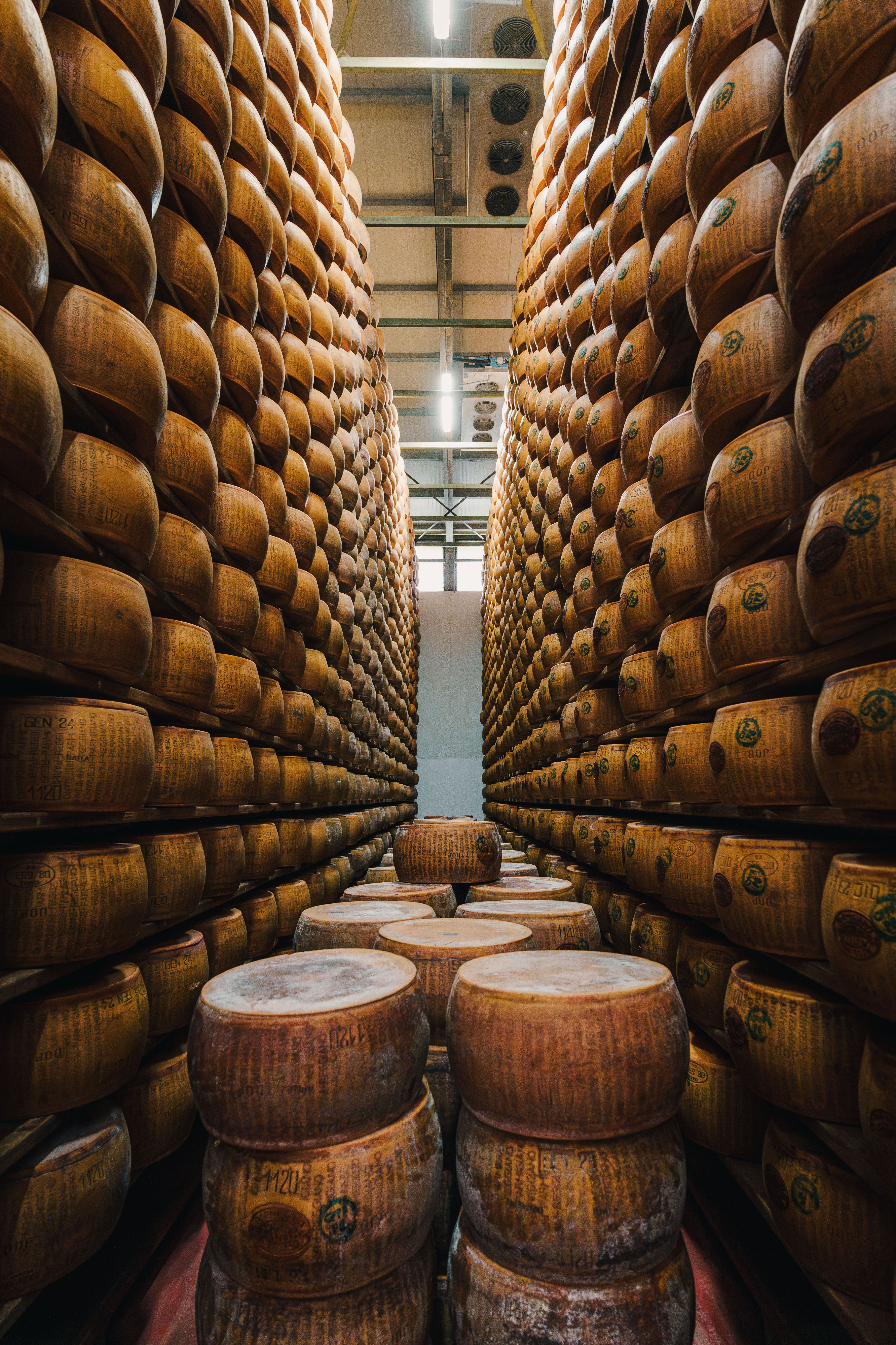 Fontina DOP di Alpeggio — 3