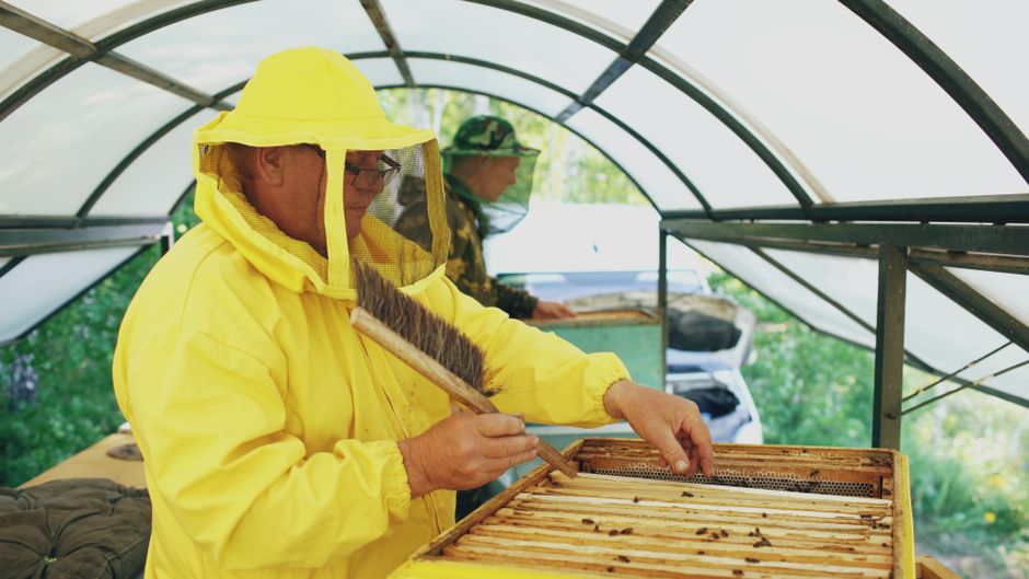 Miele di castagno — Apicoltura Millefiori d'Appennino