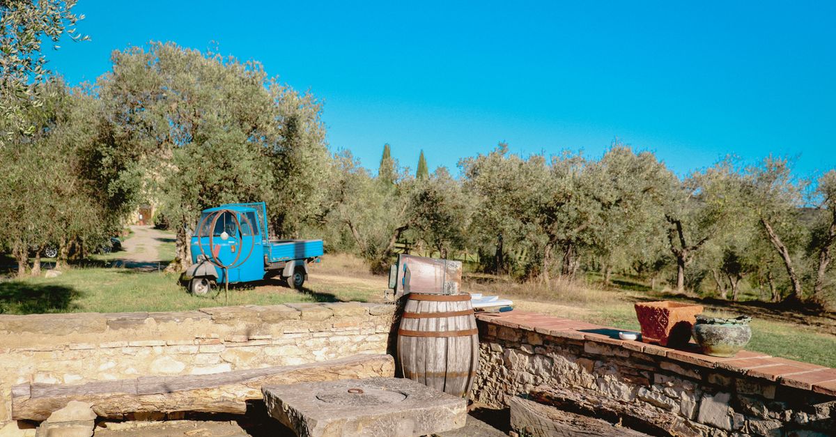 Casale con uliveto da ristrutturare — Spello