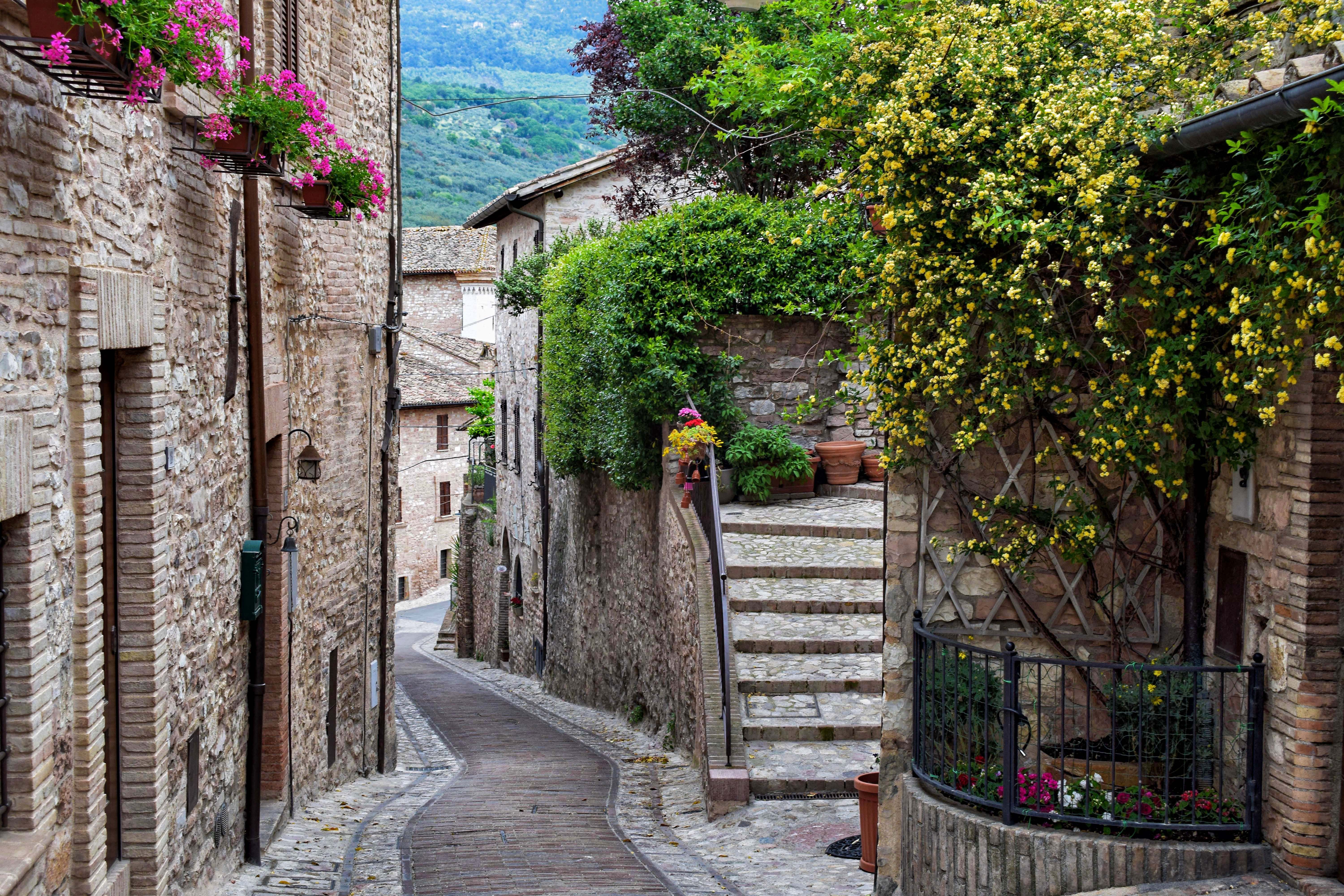 Friuli dei Vigneti