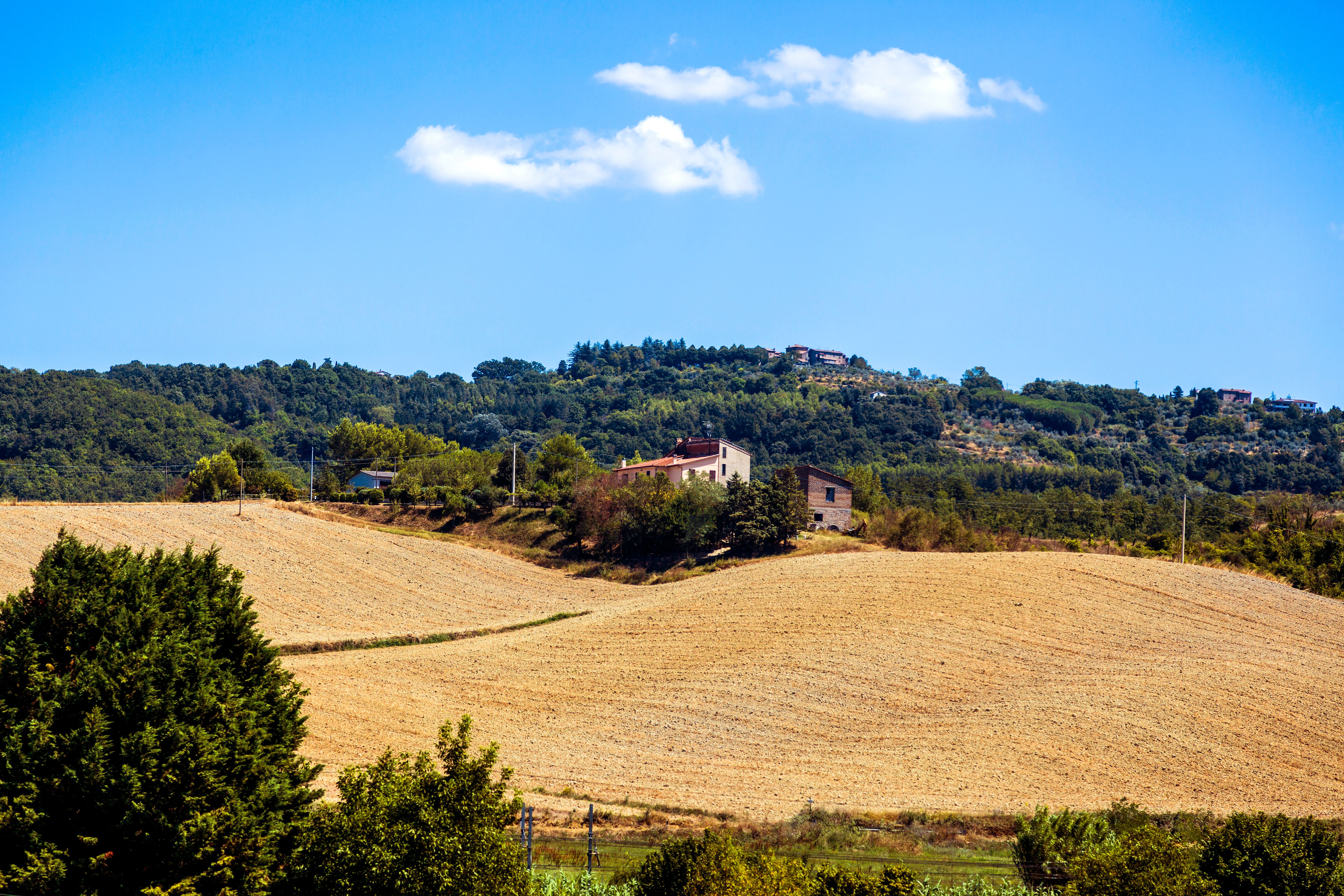 Farro perlato di montagna — Terre del Sole di Puglia