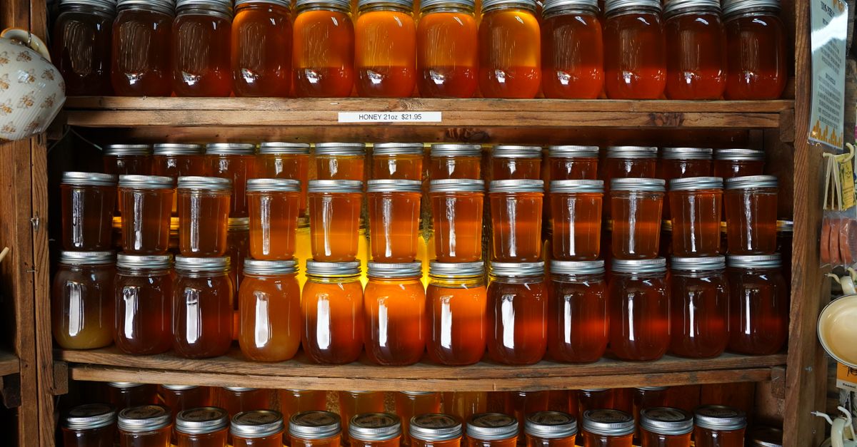 Miele di Eucalipto del Litorale — Apicoltura Millefiori d'Appennino