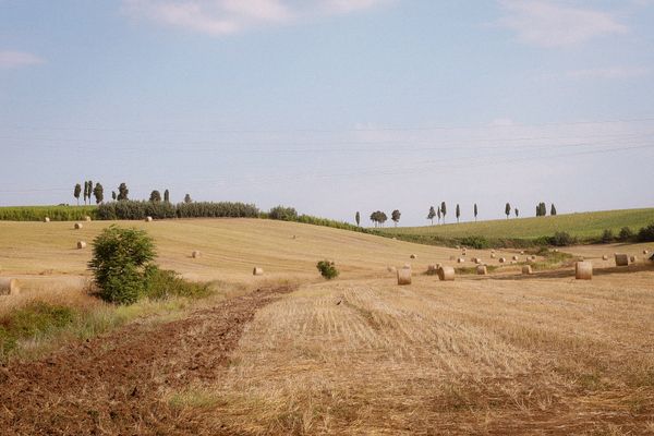 Ceci Neri della Murgia Carsica — 4