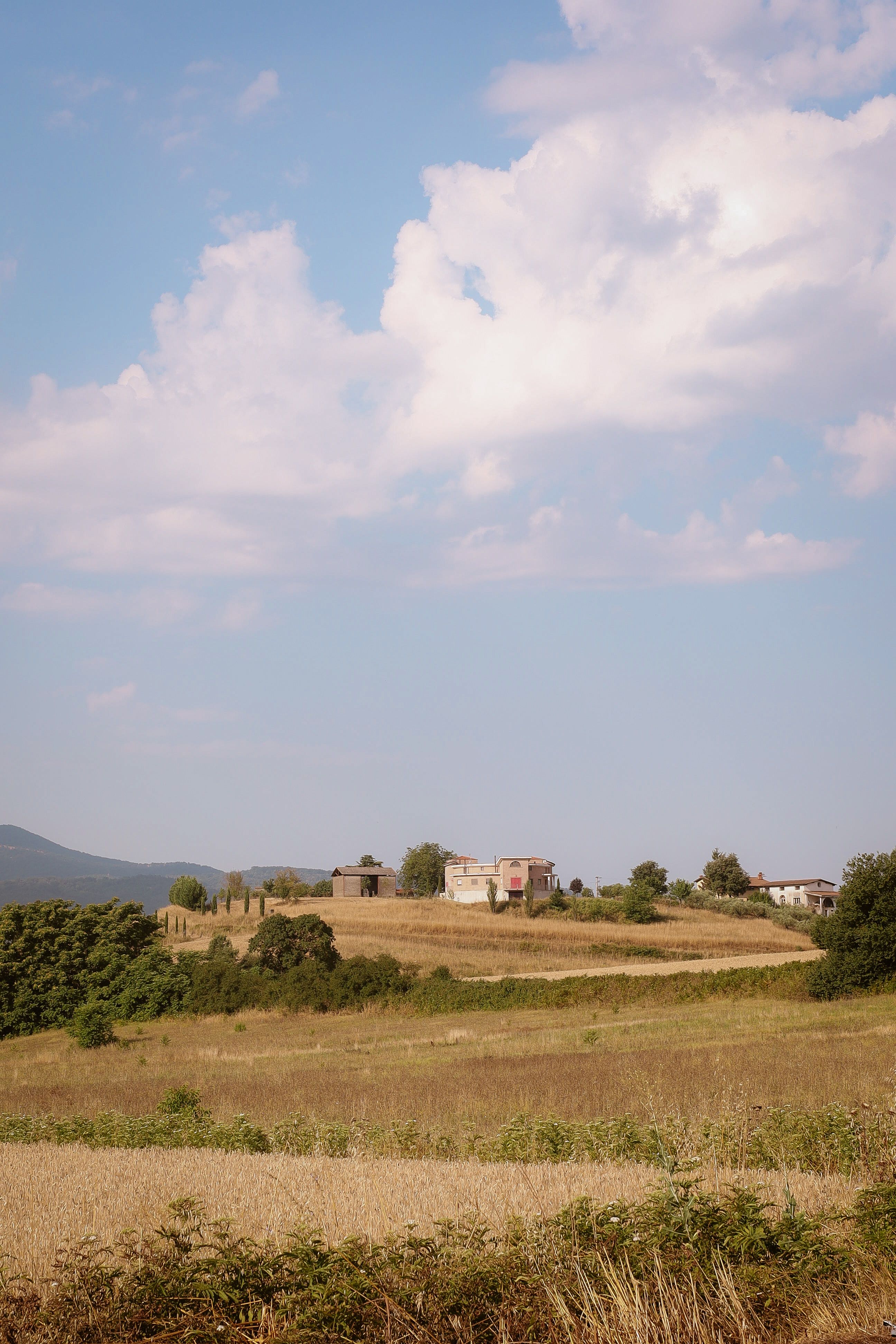 Pomodori Secchi di Puglia — 3