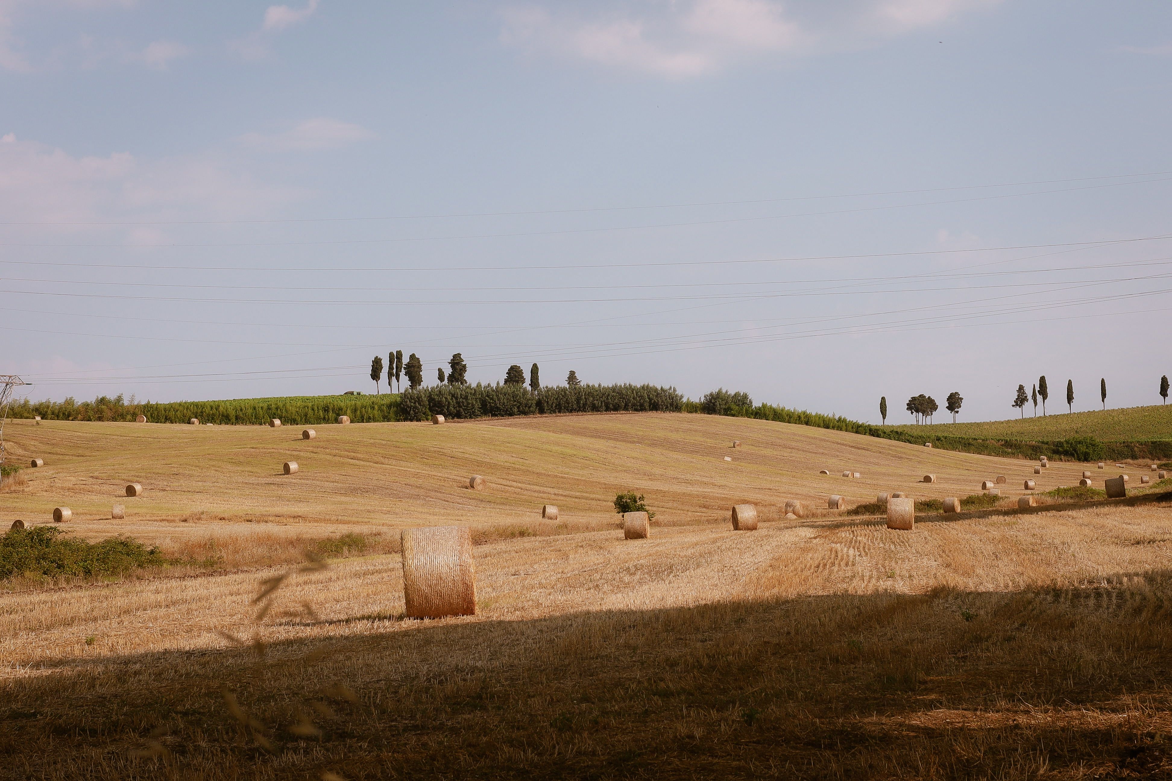 Ceci Neri della Murgia Carsica — 3