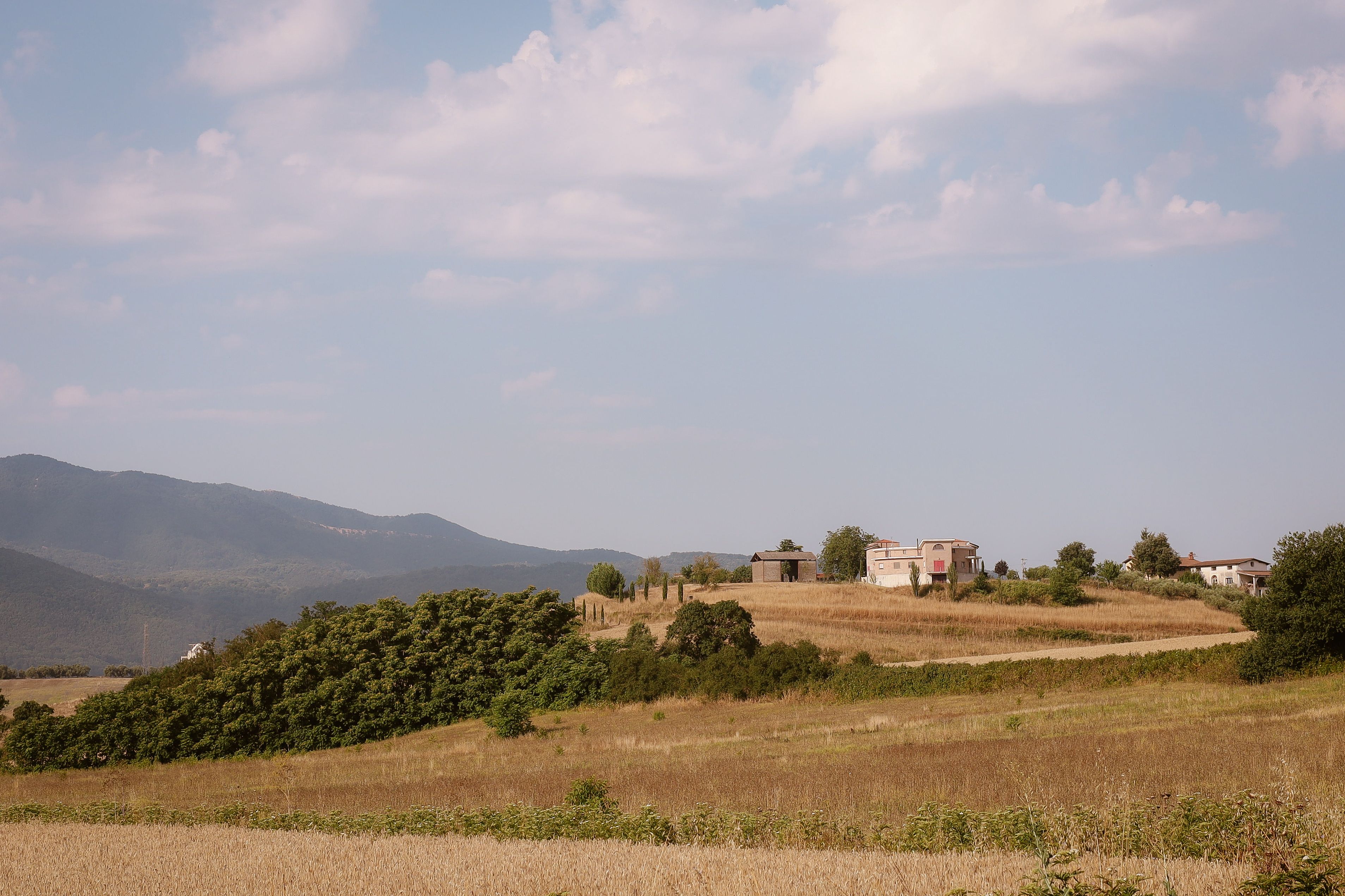 Farro perlato di montagna — 3