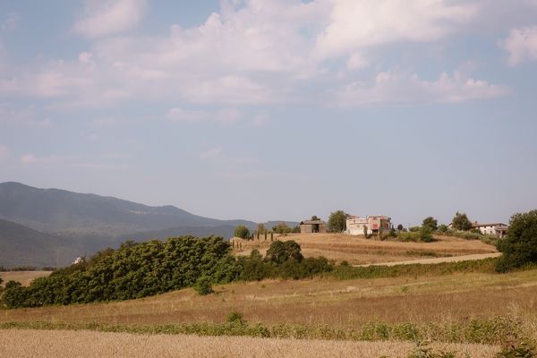 Farro perlato di montagna — 3