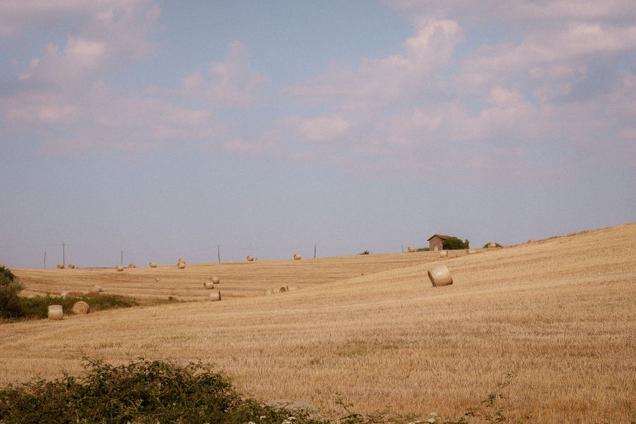 Cipolla Rossa di Tropea IGP in Treccia