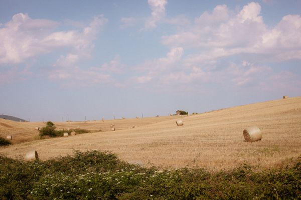 Farina di Castagne della Lunigiana DOP — 3