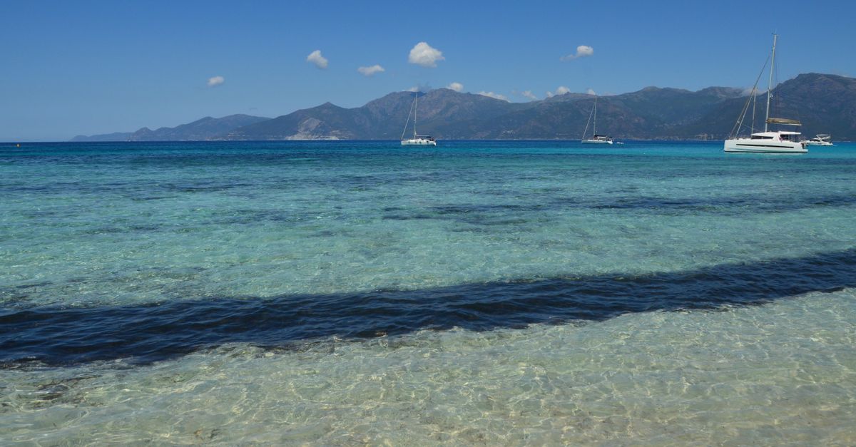 Catamarano Levante — Olbia