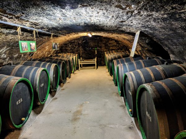 Barolo DOCG di Serralunga 2018 — 4