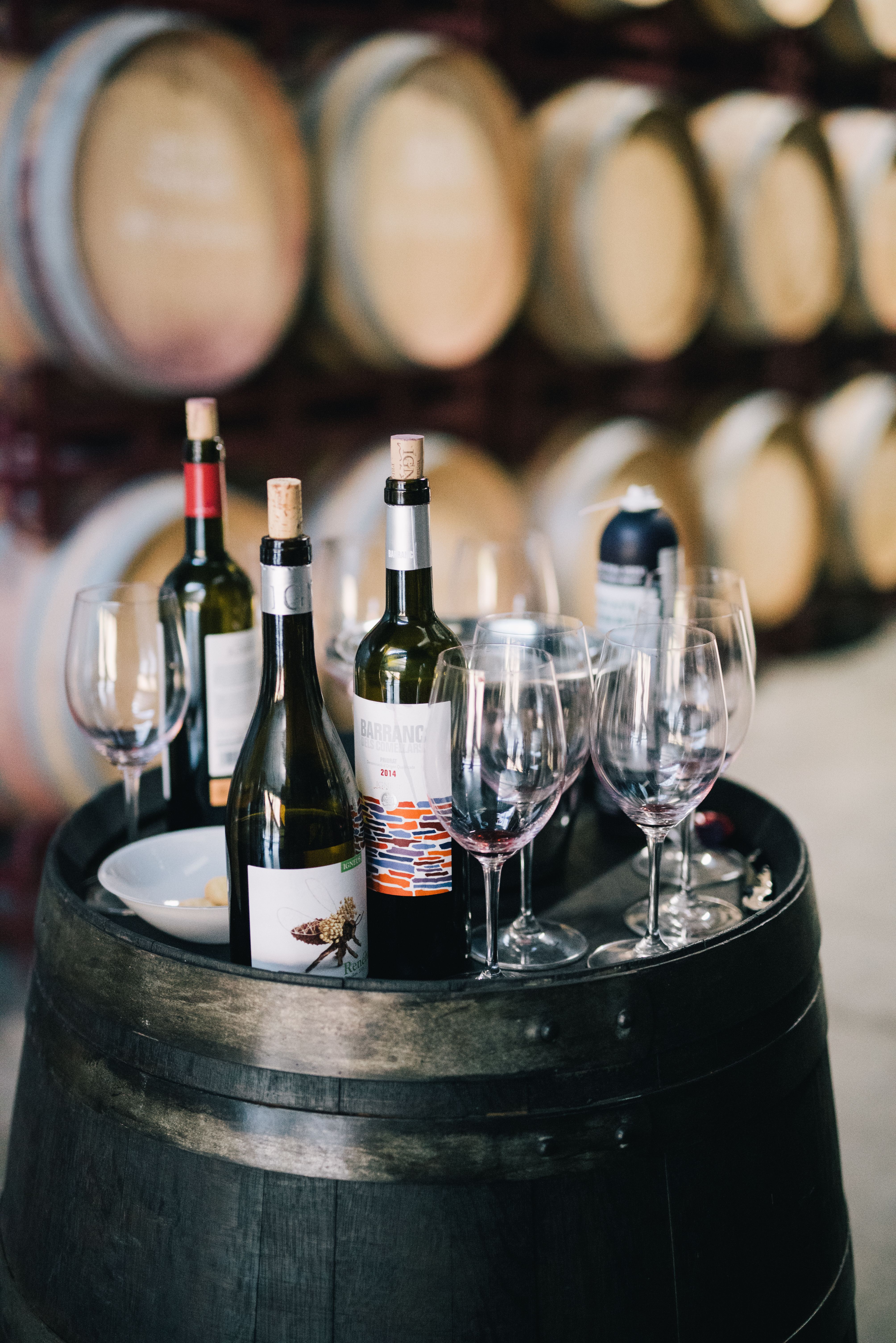 Brunello di Montalcino DOCG 2019 — 4