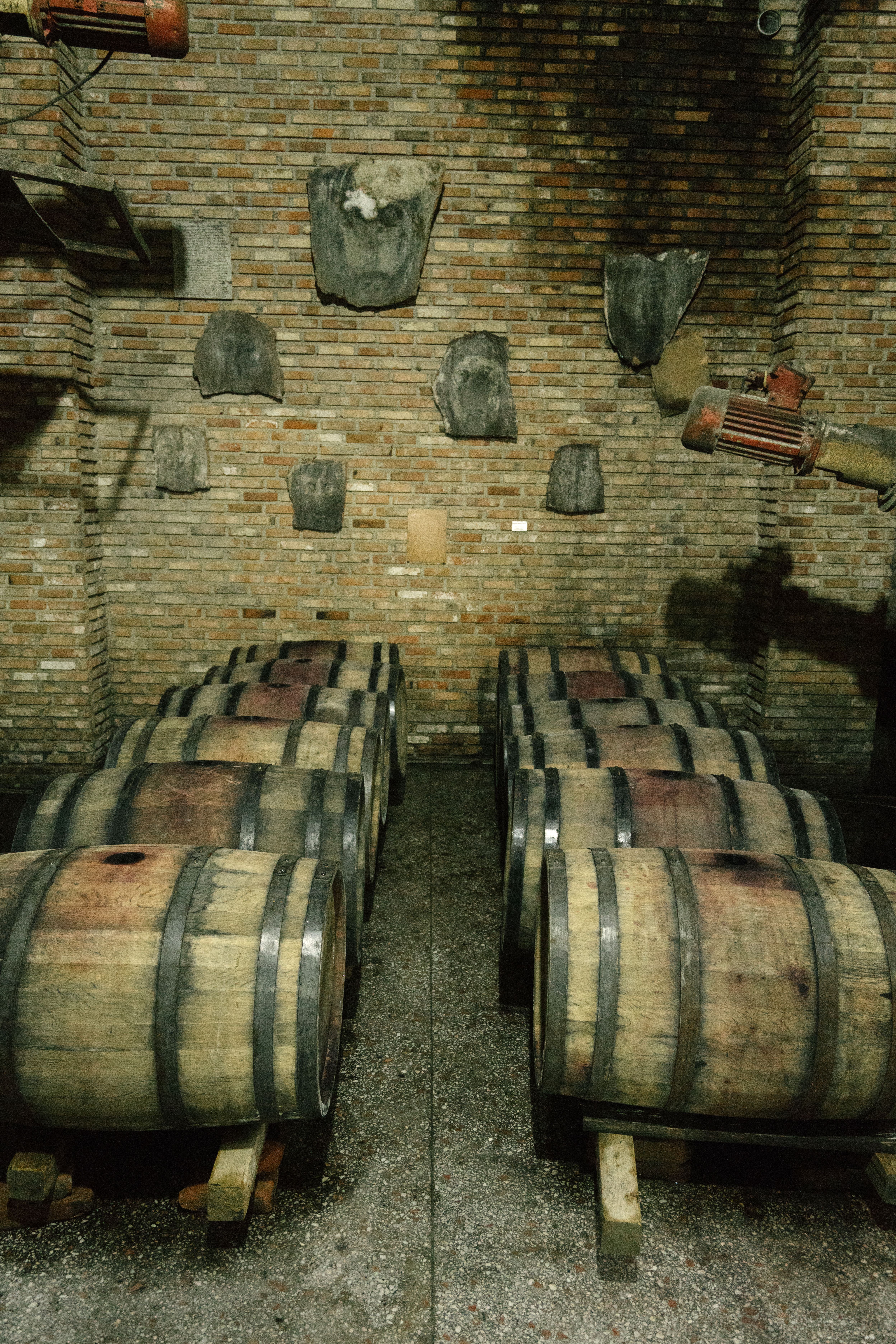 Verdicchio dei Castelli di Jesi Classico Riserva DOCG — 3