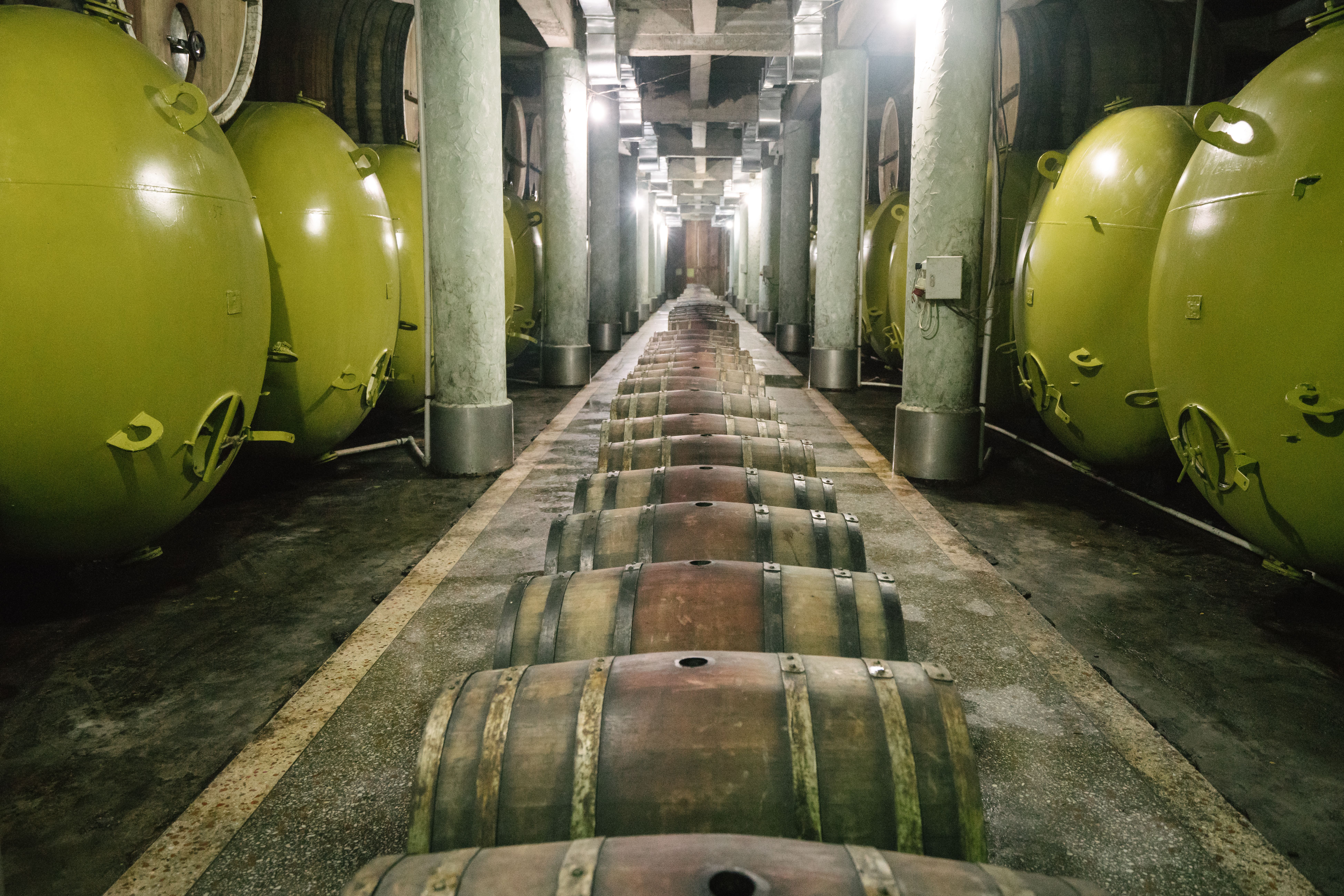 Taleggio DOP stagionato in grotta — 4