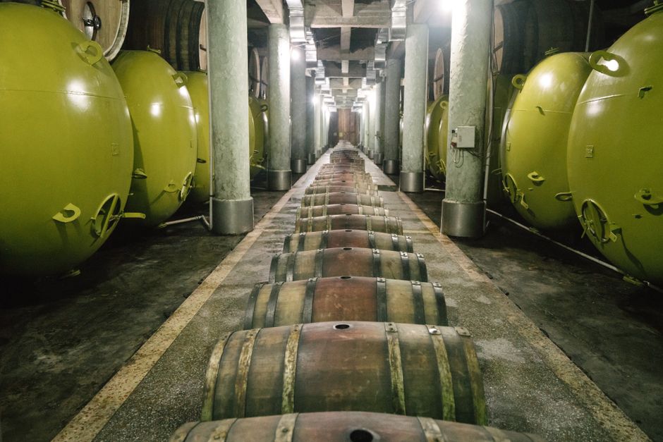 Taleggio DOP stagionato in grotta — Caseificio Val d'Orcia