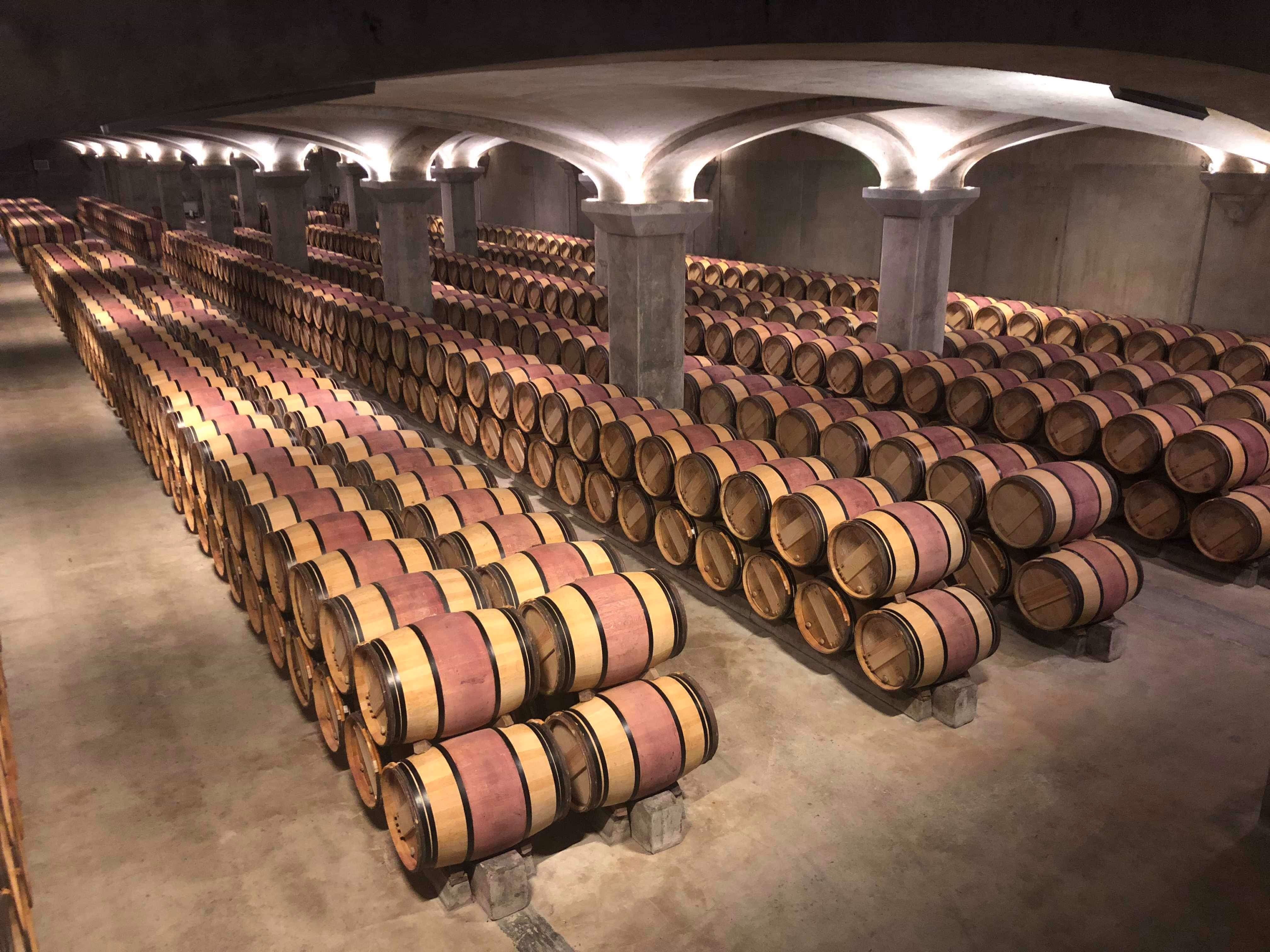 Toma Piemontese DOP — 4
