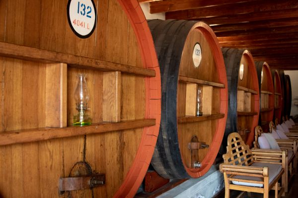 Chianti Classico Gran Selezione DOCG 2019 — 2