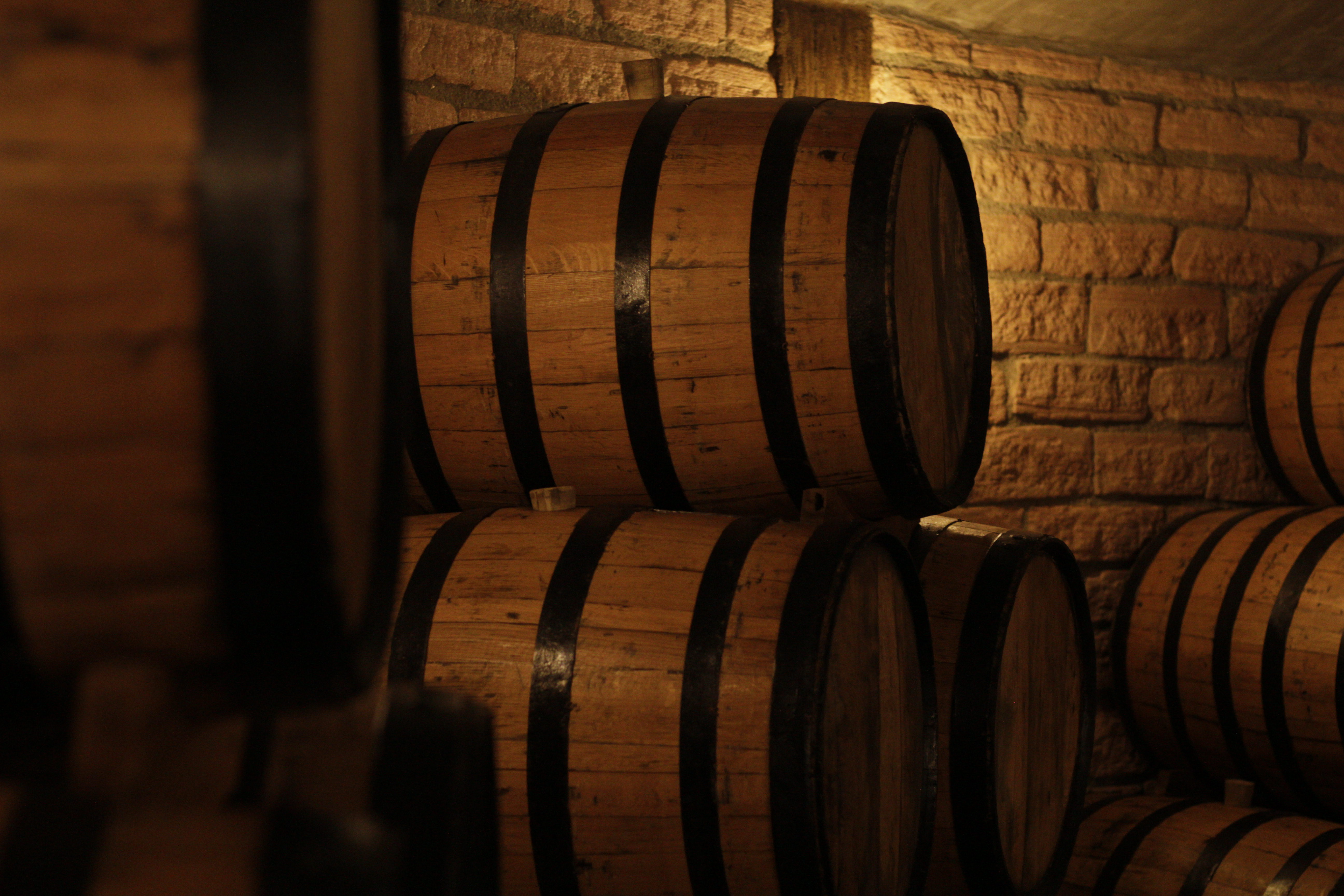 Toma Piemontese DOP — 3