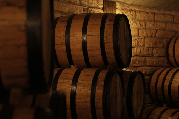 Toma Piemontese DOP — 3