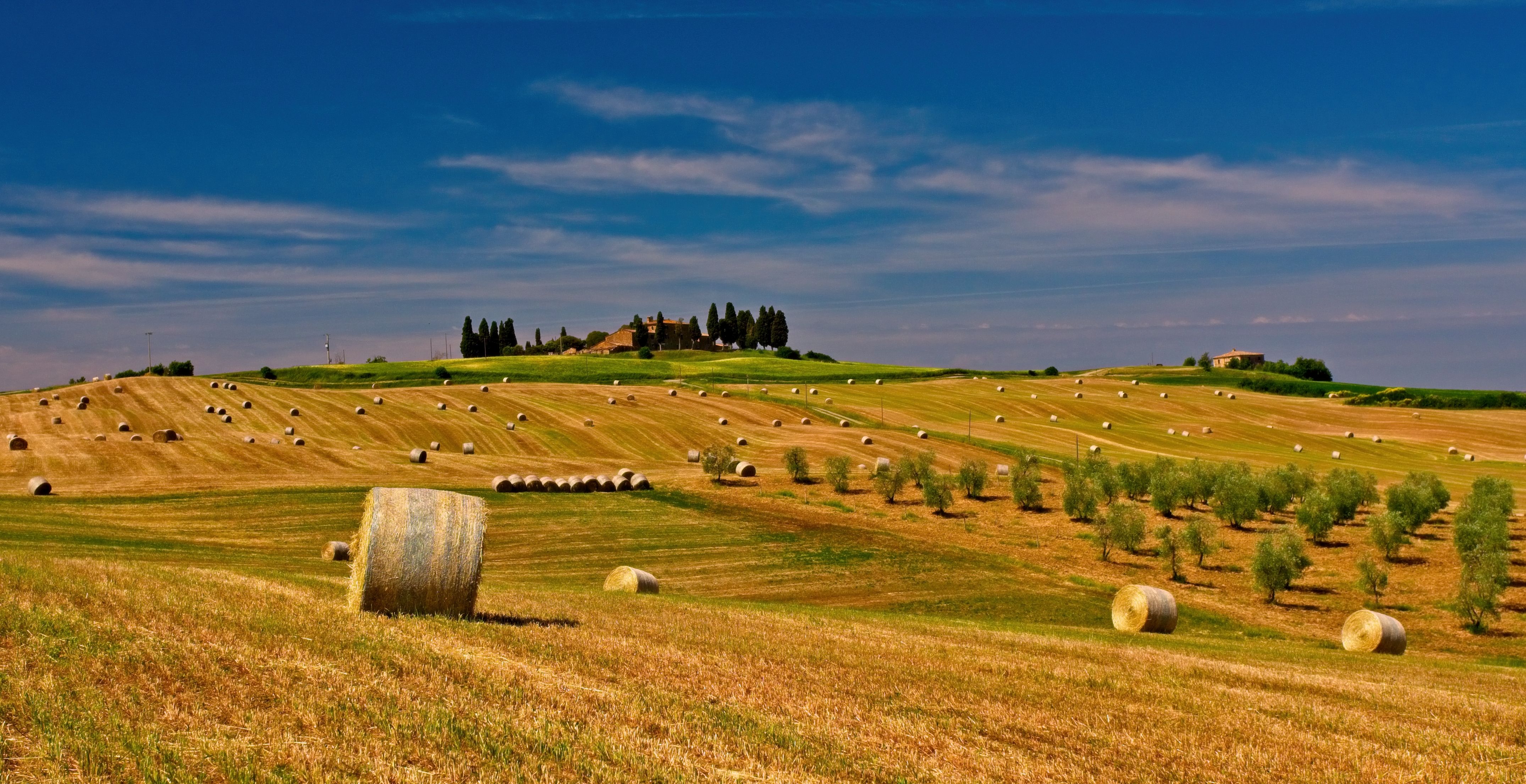 Ceci Neri della Murgia Carsica — 2