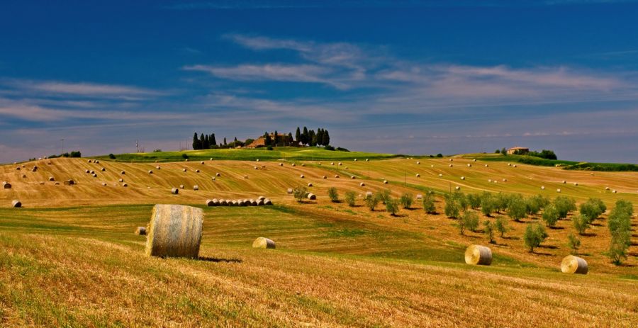Ceci Neri della Murgia Carsica — 2