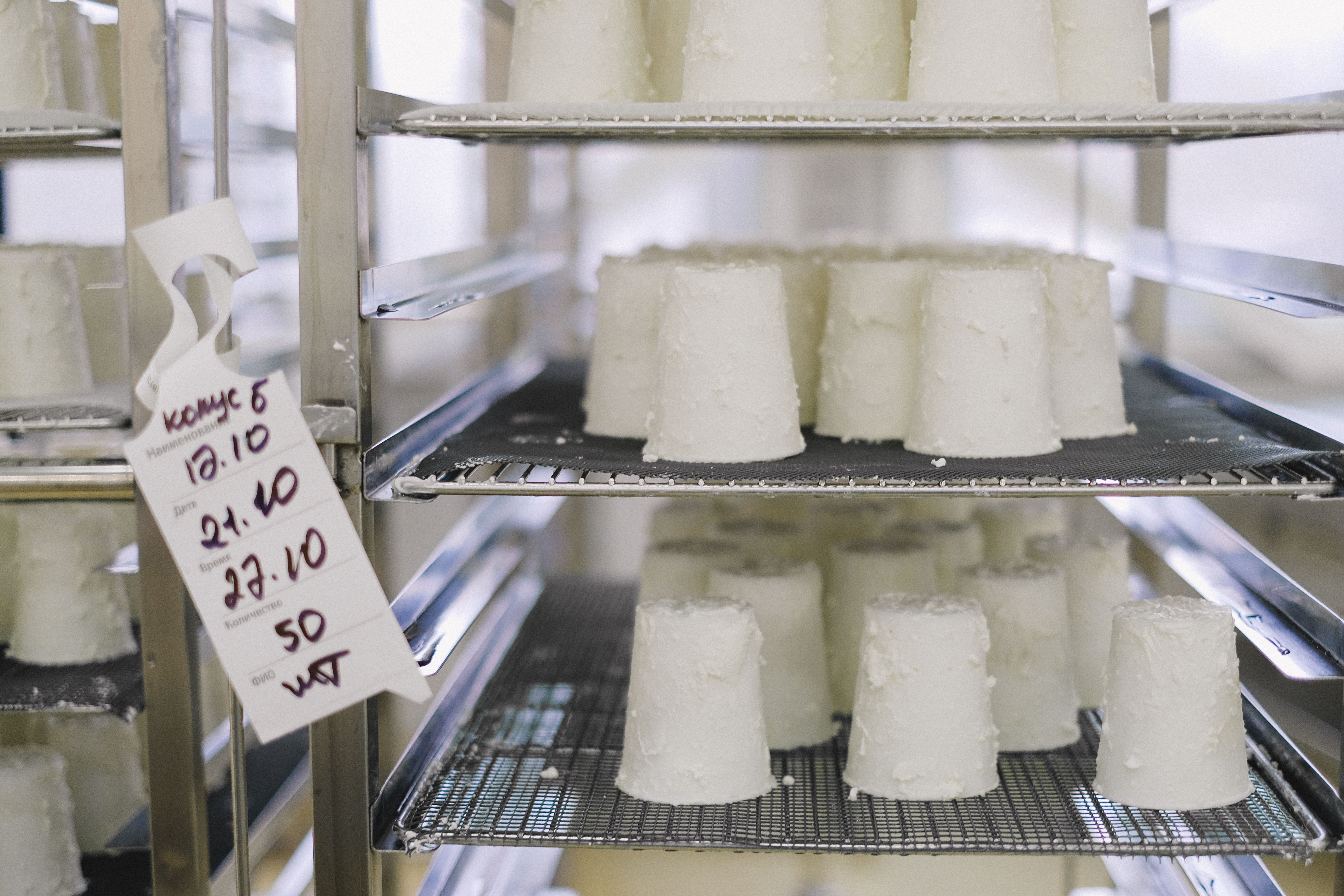 Pecorino stagionato in grotta