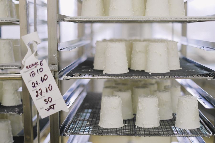Pecorino stagionato in grotta