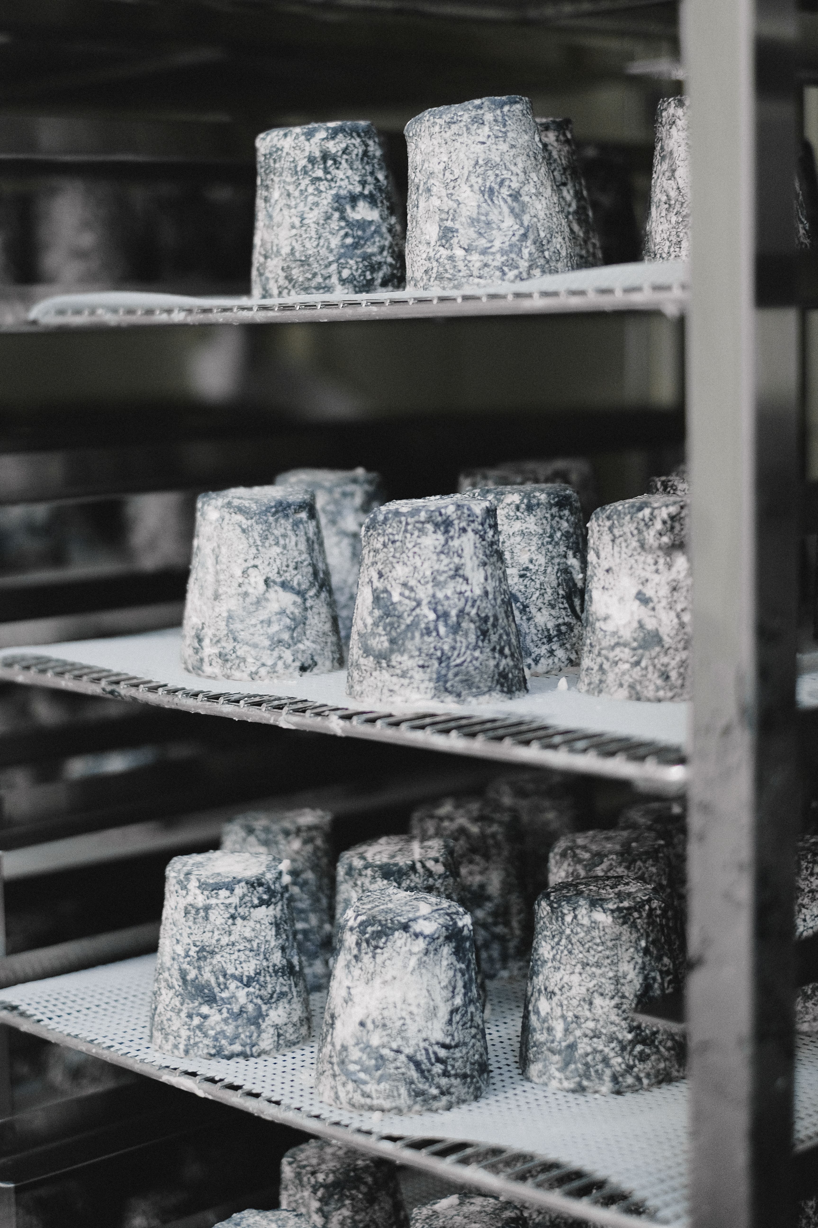 Formaggio Ubriaco al Raboso — 2
