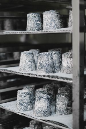 Formaggio Ubriaco al Raboso — 2