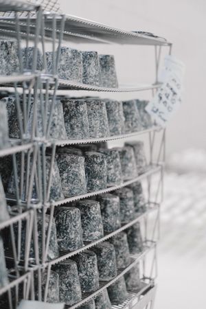 Castelmagno DOP di Alpeggio — 2