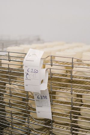 Pecorino Romano DOP — 2