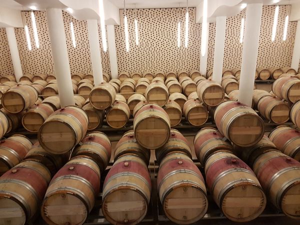 Primitivo di Manduria DOC Riserva — 4