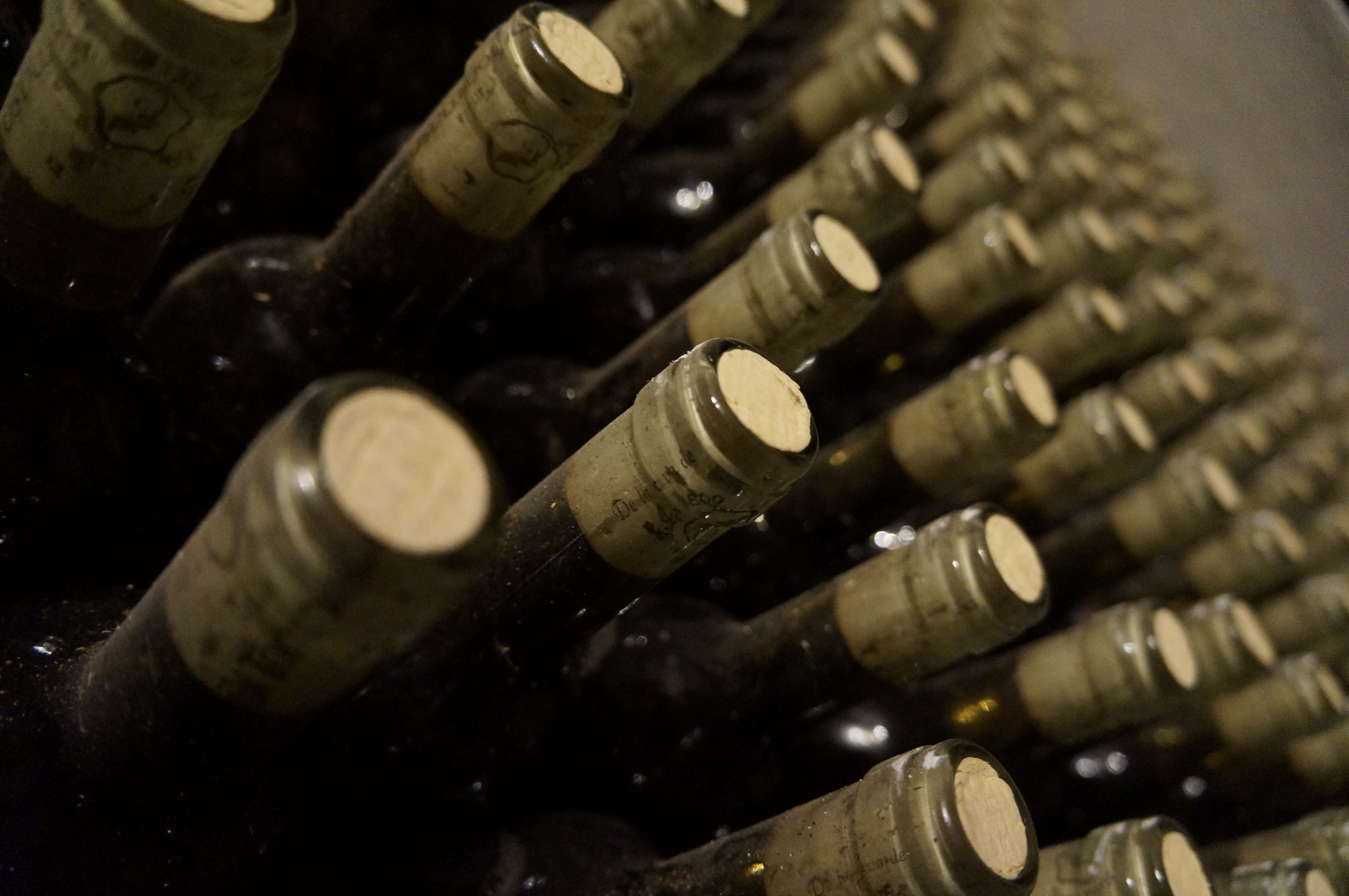 Vernaccia di collina — 3