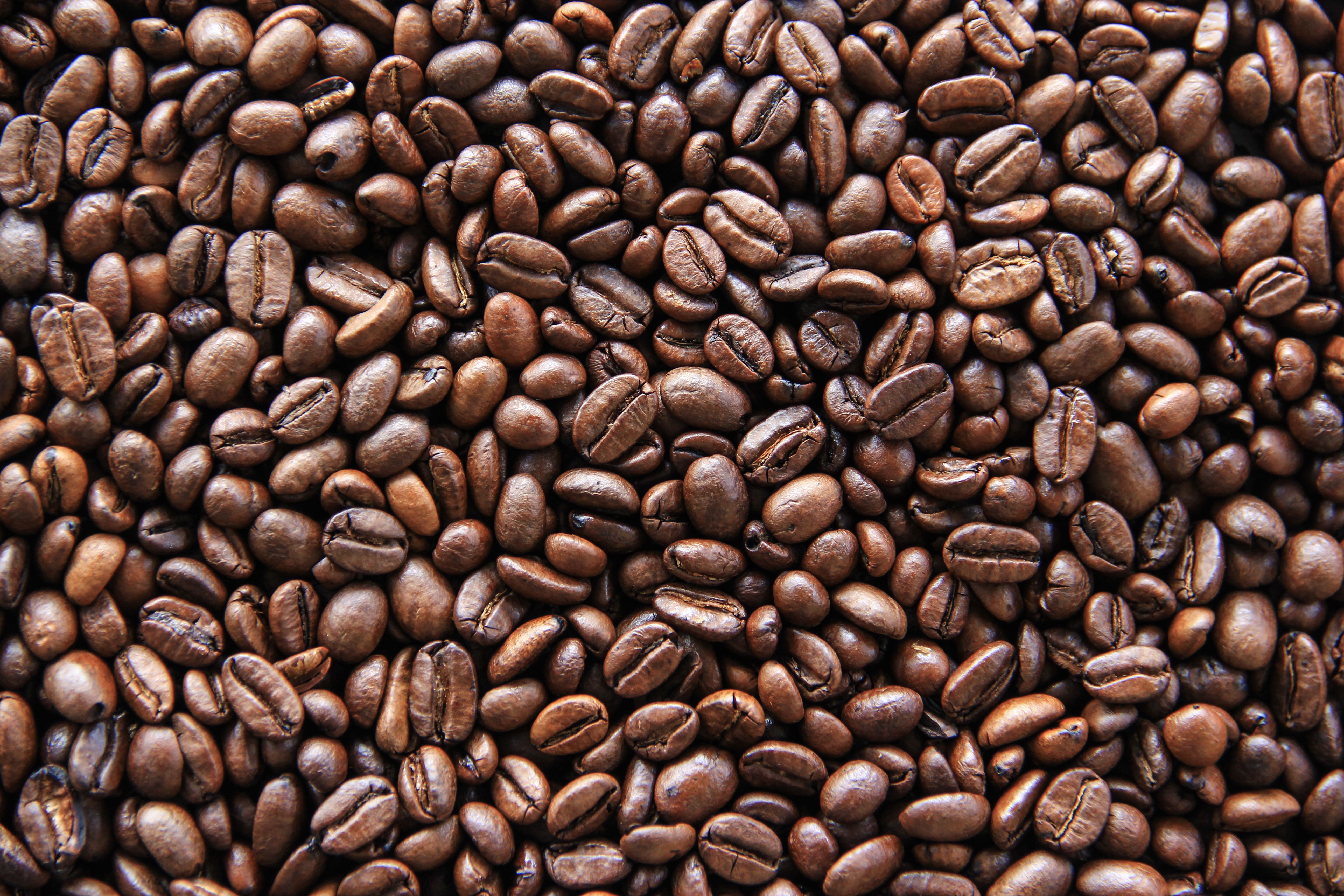 Caffè Decaffeinato ad Acqua 250g — 4