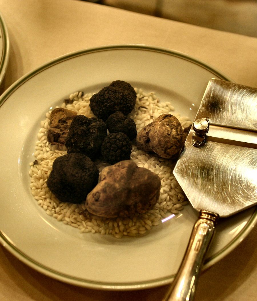 Condimento al Tartufo Bianco 250ml