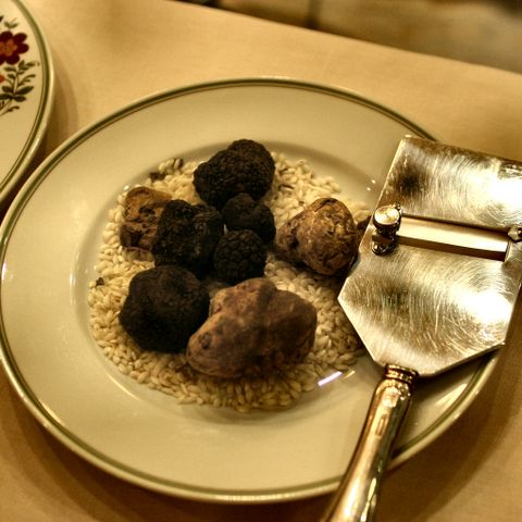 Condimento al Tartufo Bianco 250ml