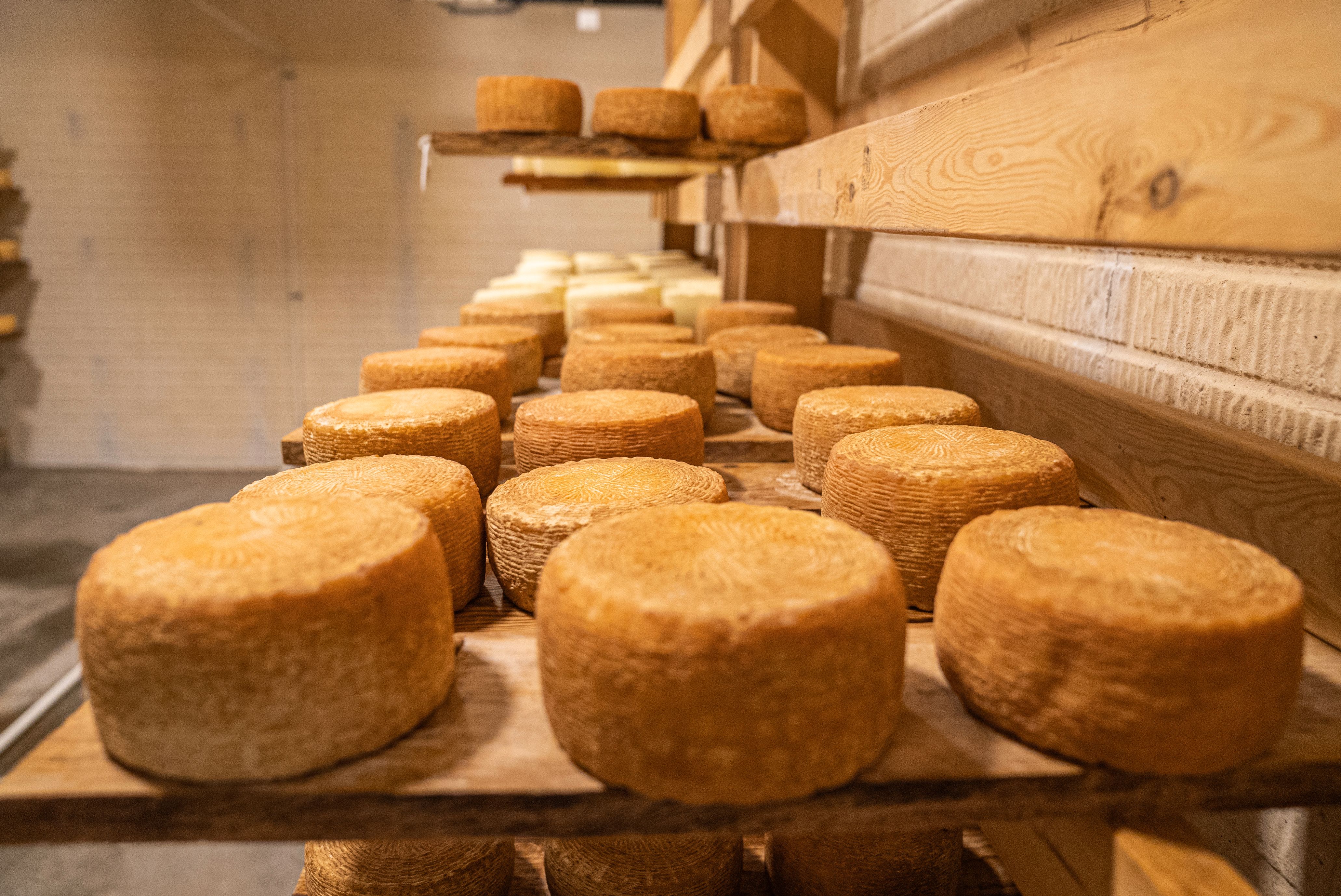 Pecorino di Fossa di Sogliano DOP stagionato 24 mesi — 3