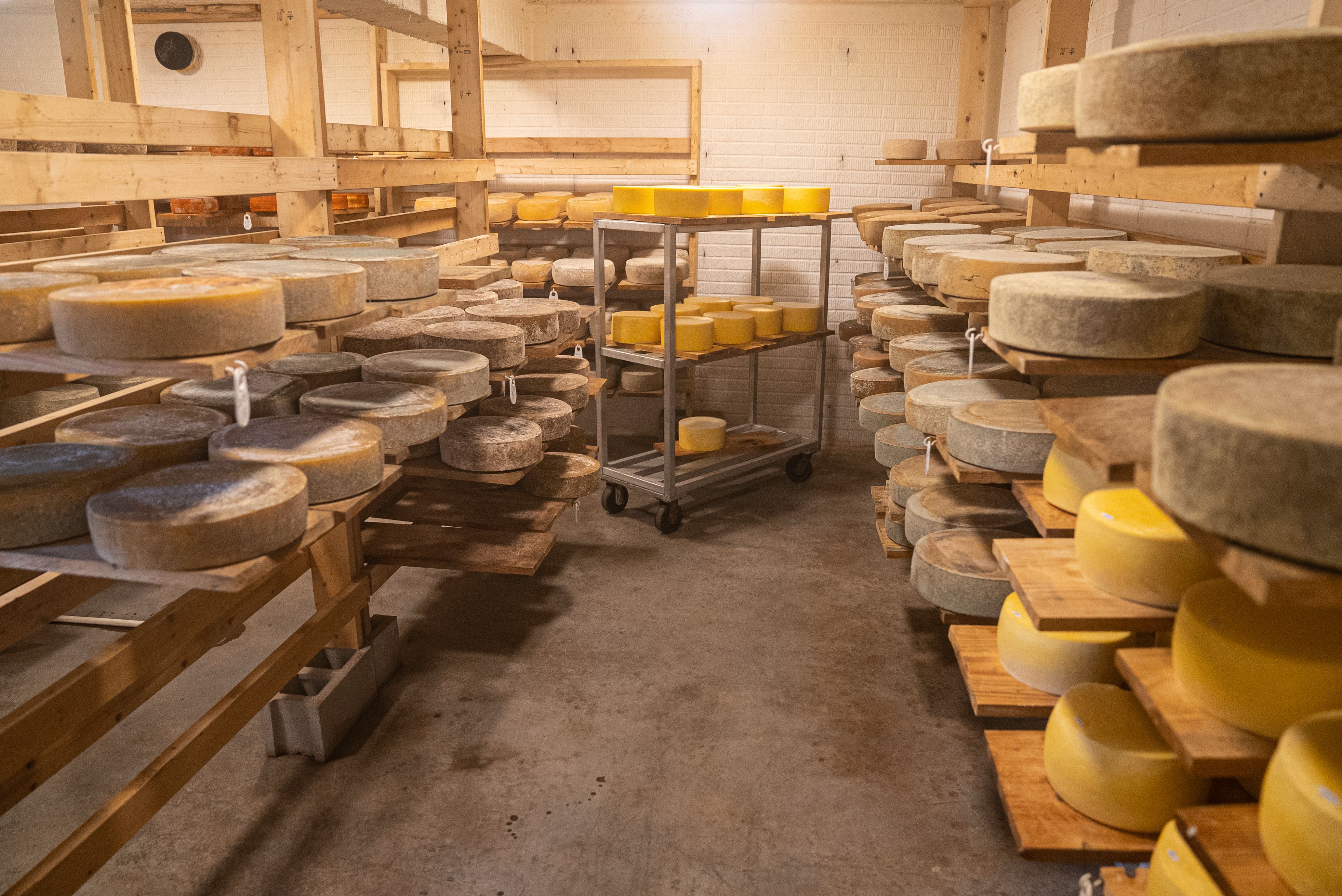 Pecorino Sardo DOP Maturo