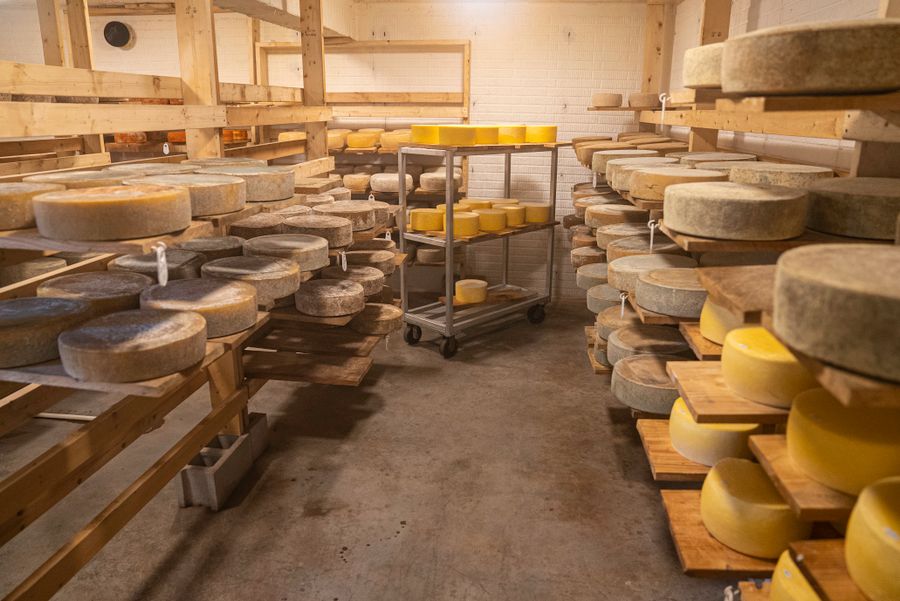 Pecorino Sardo DOP Maturo