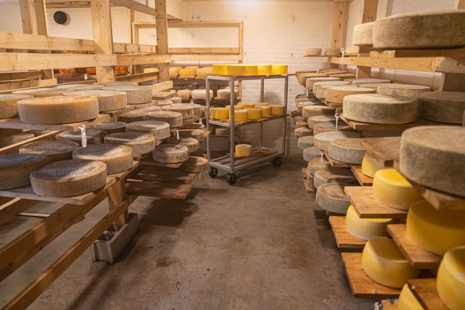 Pecorino Sardo DOP Maturo — Caseificio Val d'Orcia