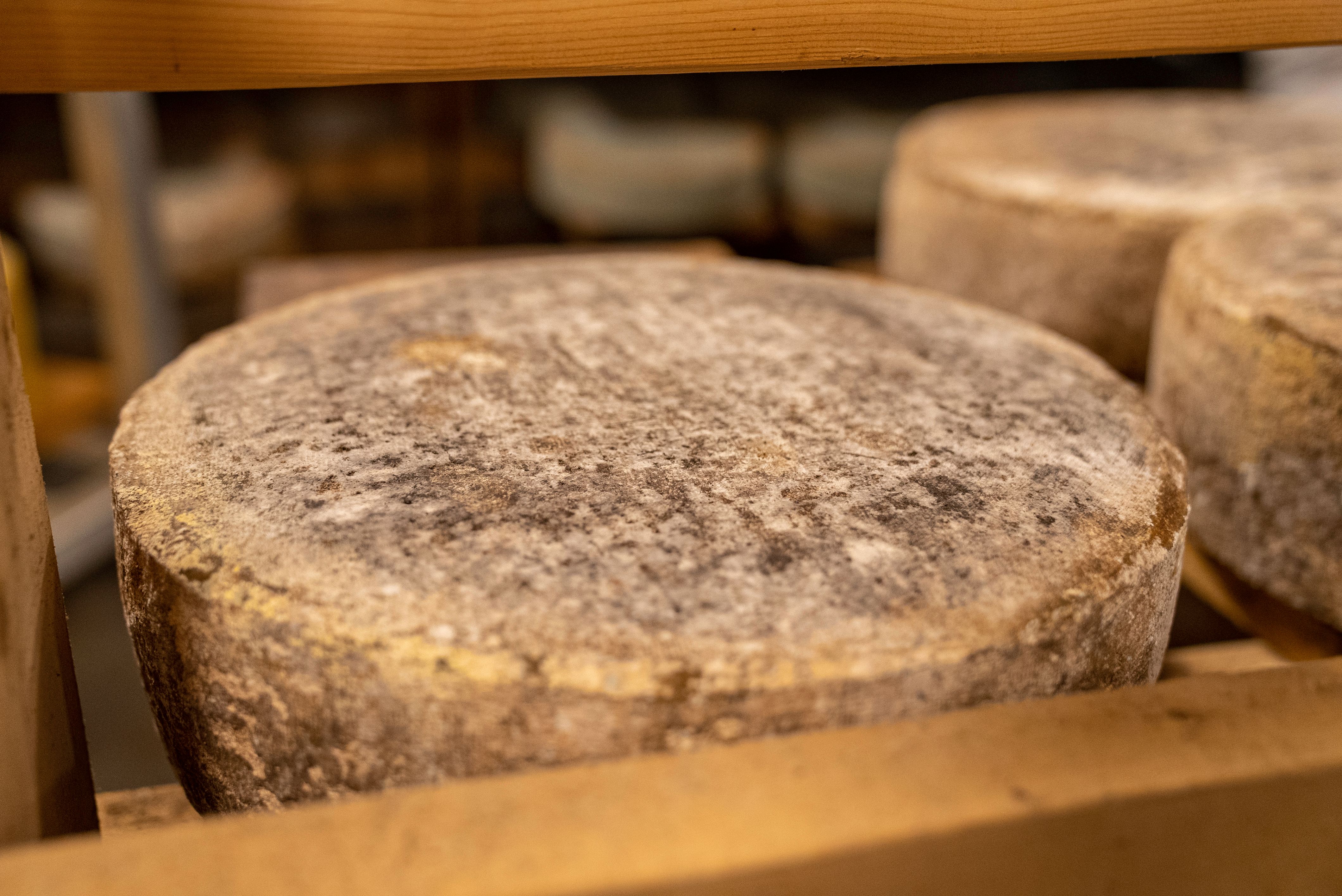 Formaggio Ubriaco al Raboso — 3