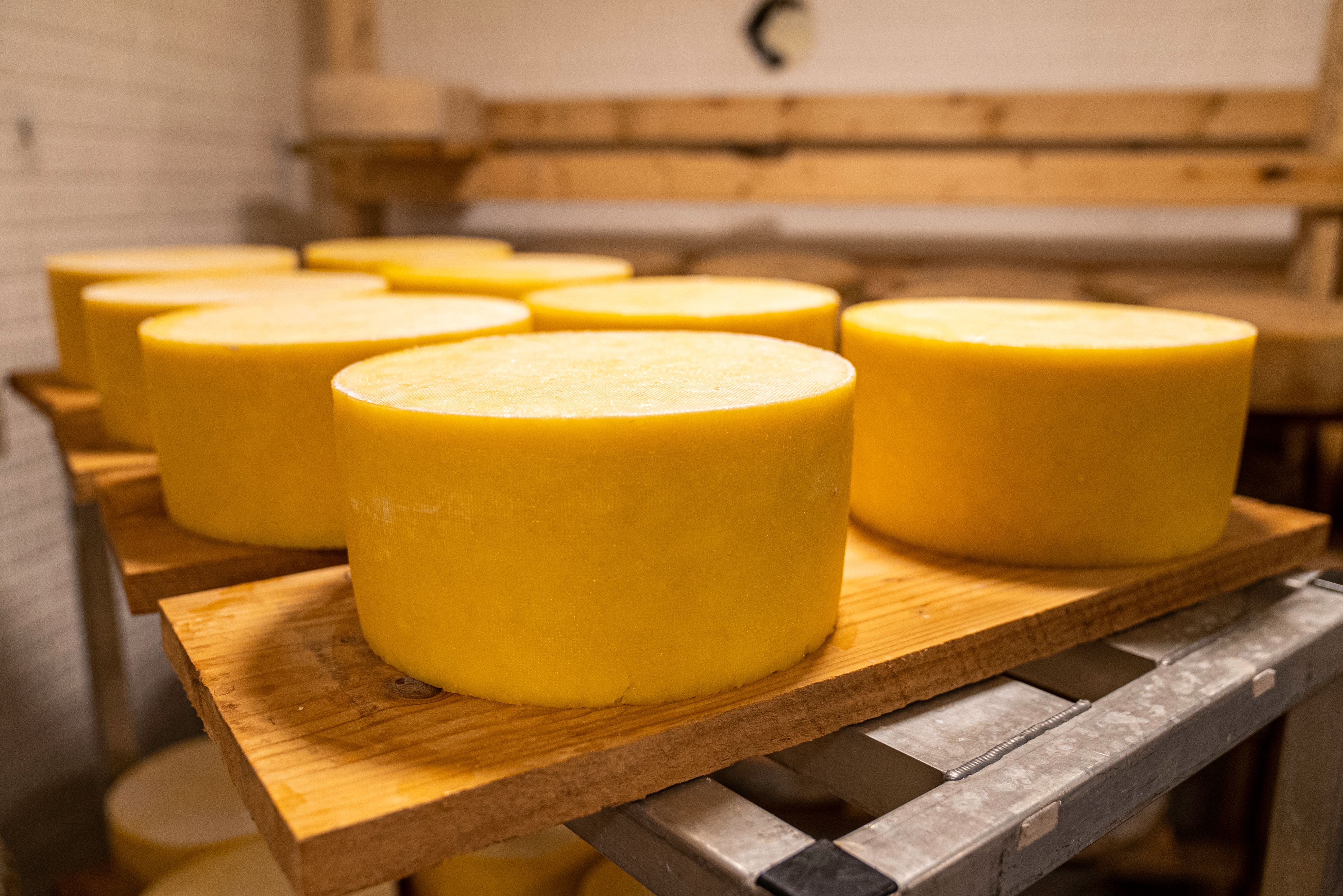Fontina DOP di Alpeggio — 4